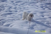 9/23/2006: Romping in the snow at 9700 feet up in the Rockies--on the last day of summer!