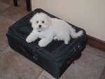 6/7/2005: "Don't go anywhere without me!"