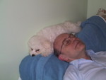 5/16/2005: QBit climbing behind Jeff's head while Jeff is trying to sleep. This proved to be a problem after awhile.