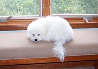 8/10/2005: Vegging out on the kitchen nook bench