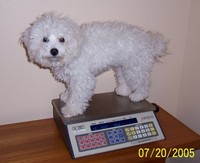 7/20/2005: Twelve pounds, two ounces